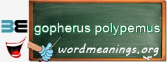 WordMeaning blackboard for gopherus polypemus